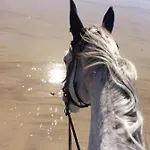 Maison De La Besliere Meuble De Tourisme 2 Etoiles * Folligny