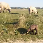 Vakantiehuis Maison De La Besliere Meuble De Tourisme 2 Etoiles Folligny