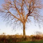 Maison De La Besliere Meuble De Tourisme 2 Etoiles Vakantiehuis