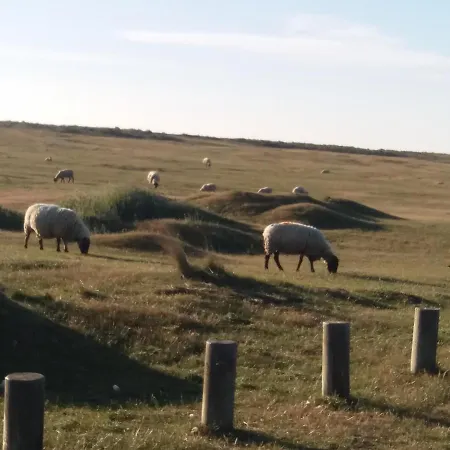 Maison De La Besliere Meuble De Tourisme 2 Etoiles *