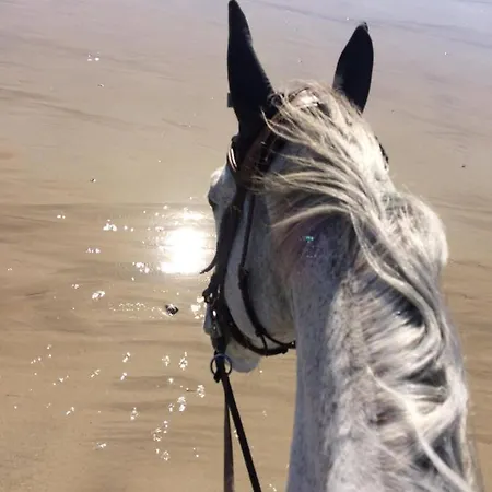 Maison De La Besliere Meuble De Tourisme 2 Etoiles * Folligny