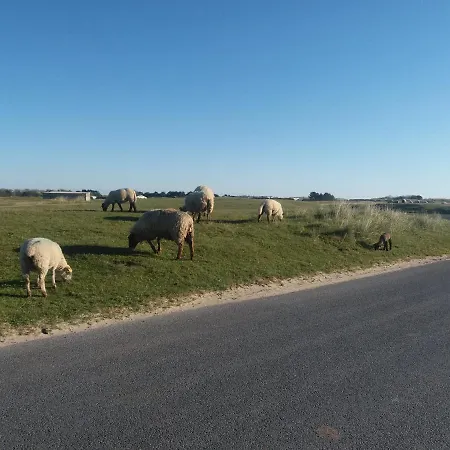 Maison De La Besliere Meuble De Tourisme 2 Etoiles Folligny