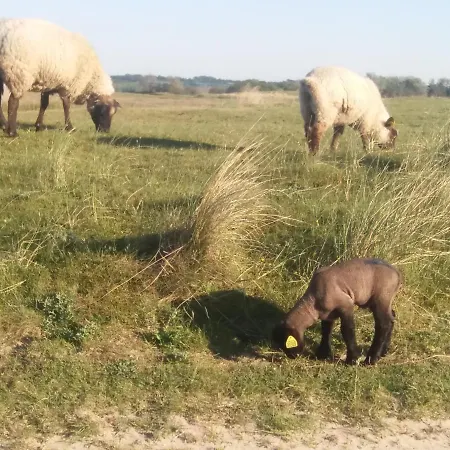 Casa de Férias Maison De La Besliere Meuble De Tourisme 2 Etoiles Folligny