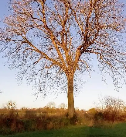 Maison De La Besliere Meuble De Tourisme 2 Etoiles Casa de Férias
