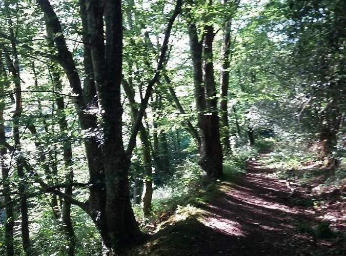 Hébergement de vacances Maison De La Besliere *