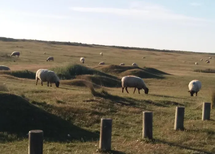 Maison De La Besliere *