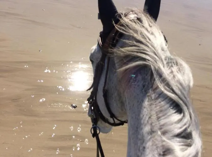 Maison De La Besliere * Folligny