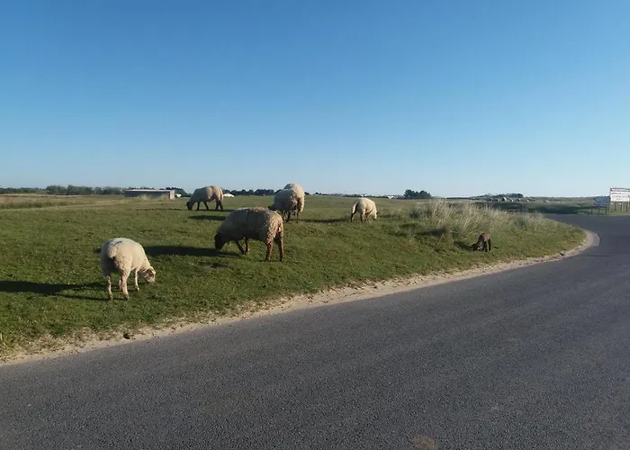 Maison De La Besliere Folligny