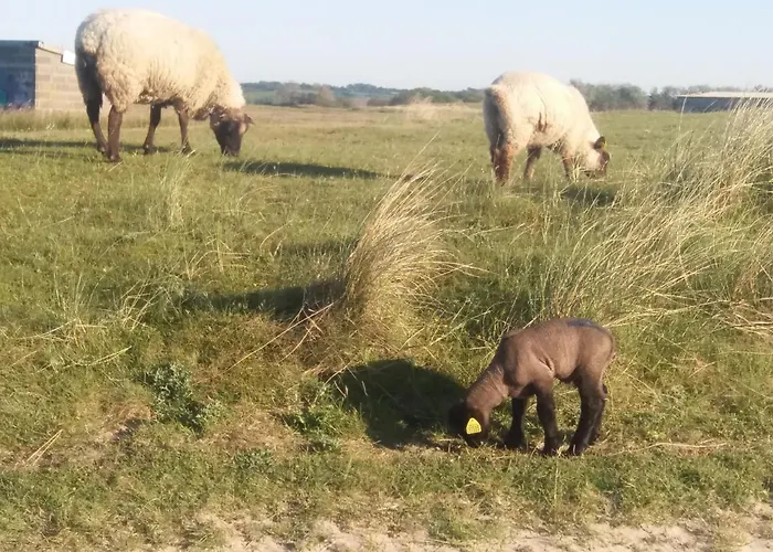 Hébergement de vacances Maison De La Besliere Folligny