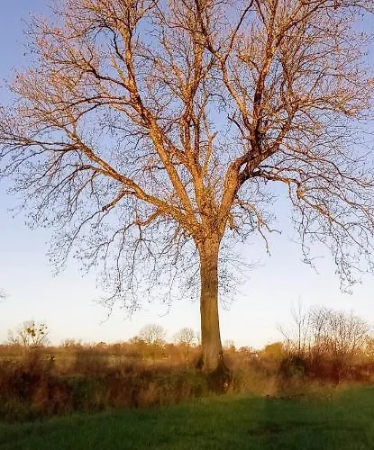 Maison De La Besliere Hébergement de vacances